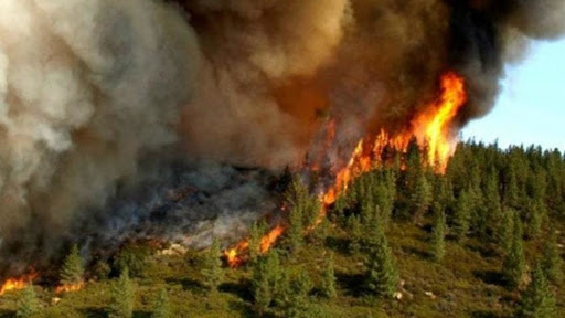 هشدار هواشناسی: آتش در کمین جنگل‌های گلستان است